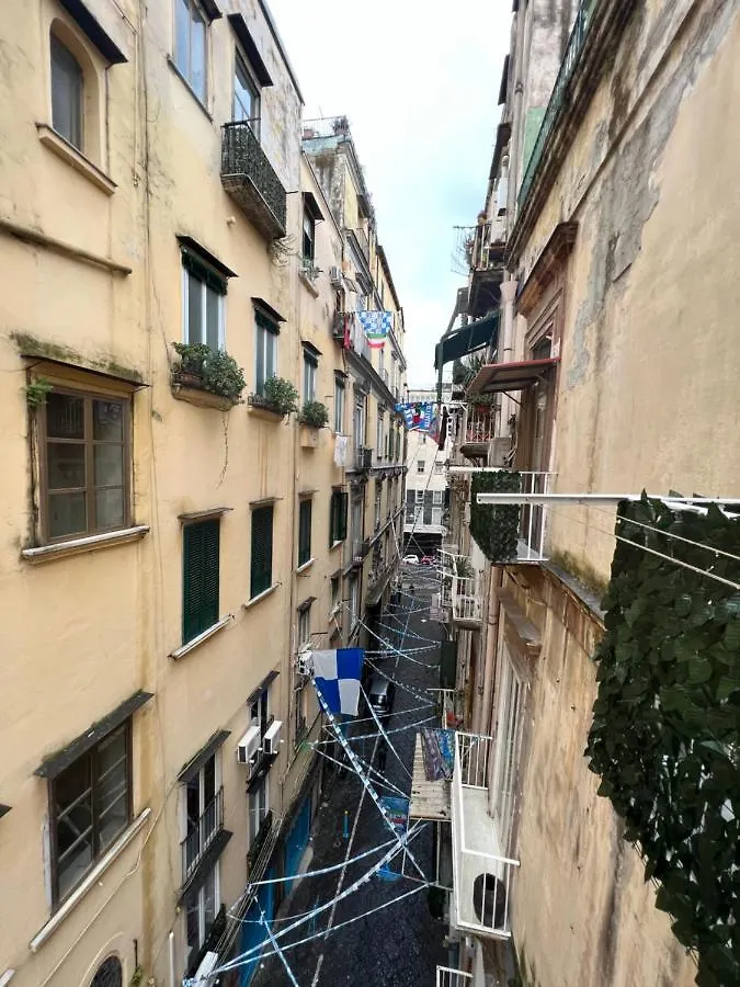 Apartment Silvana Appartamento Naples